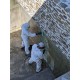 PISCINE gelcoat gris 7047